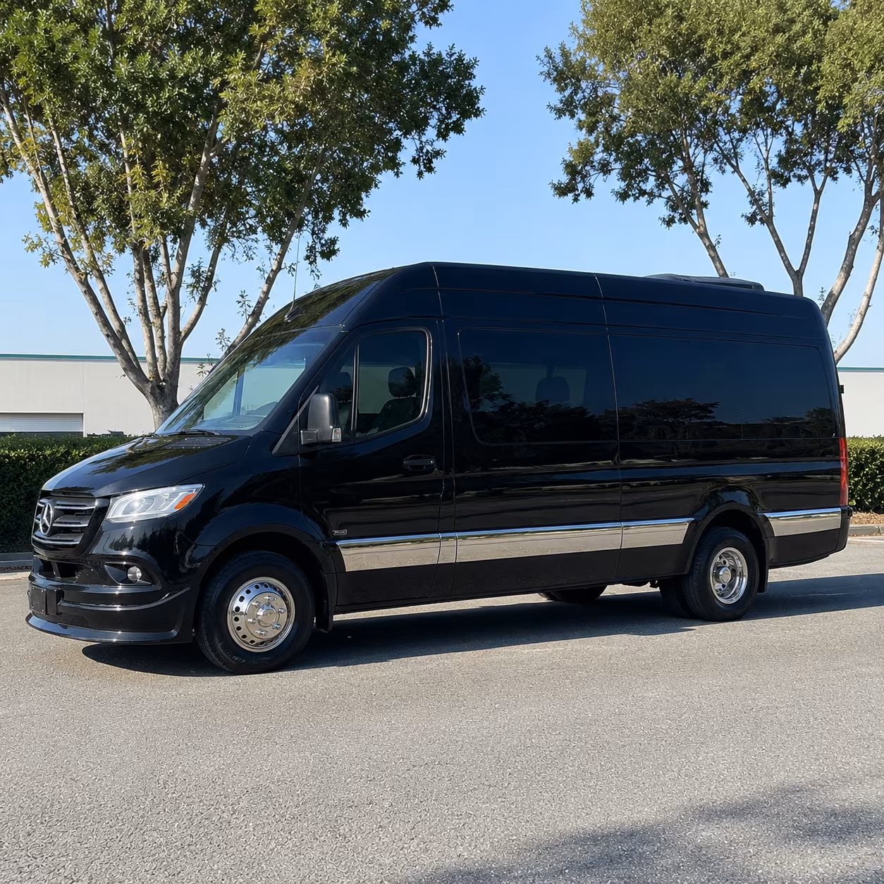 find the perfect transportation for your next birthday 1